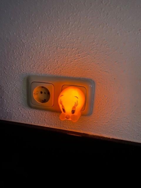 Tweety Nightlamp Warner Bros 1998 by Casal, Verzamelen, Disney, Ophalen of Verzenden, Overige figuren, Zo goed als nieuw, Overige typen