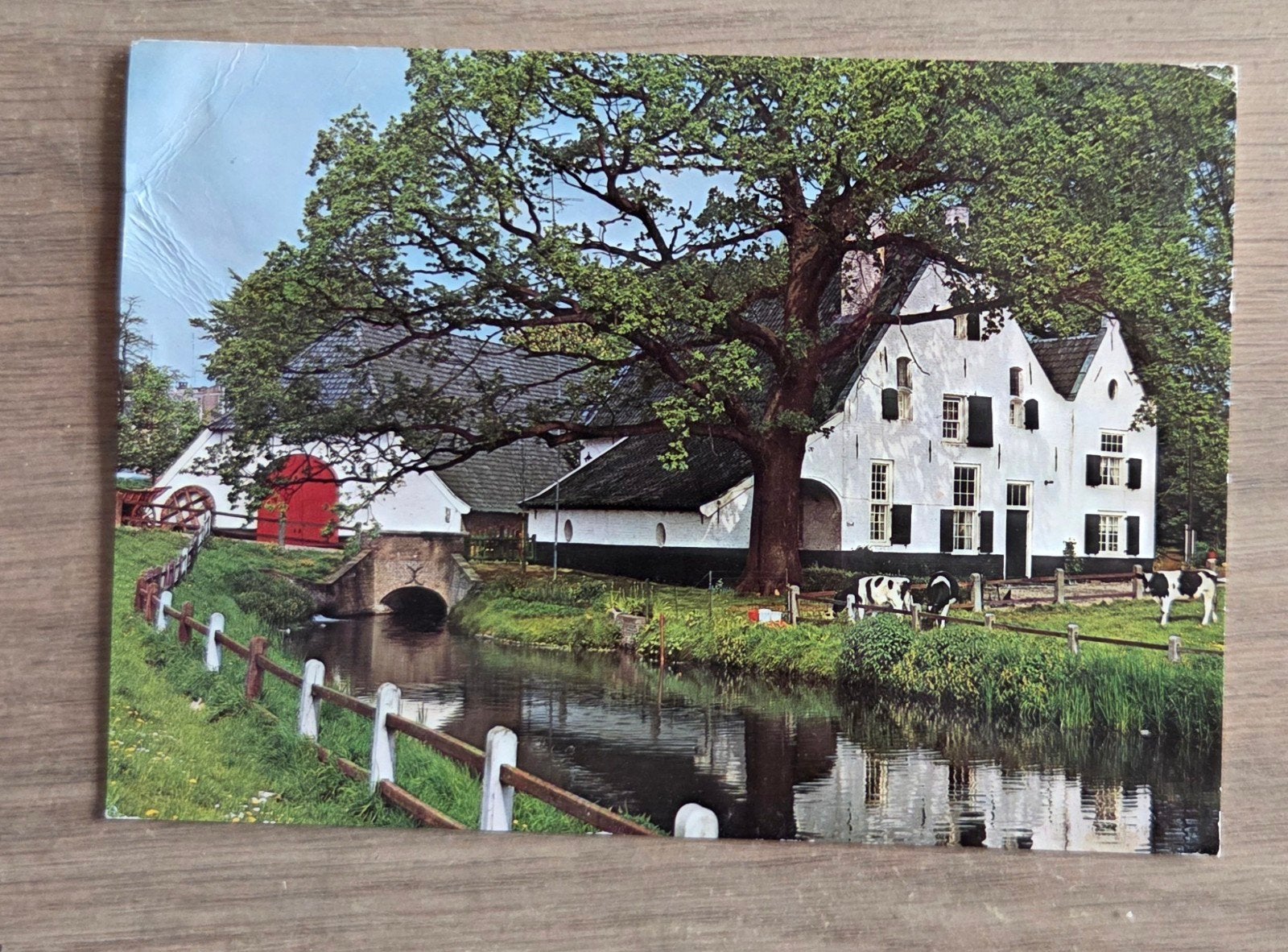 Ansichtkaart Arnhem, De Witte Molen in park Sonsbeek, Ophalen of Verzenden, 1960 tot 1980, Gelopen, Gelderland