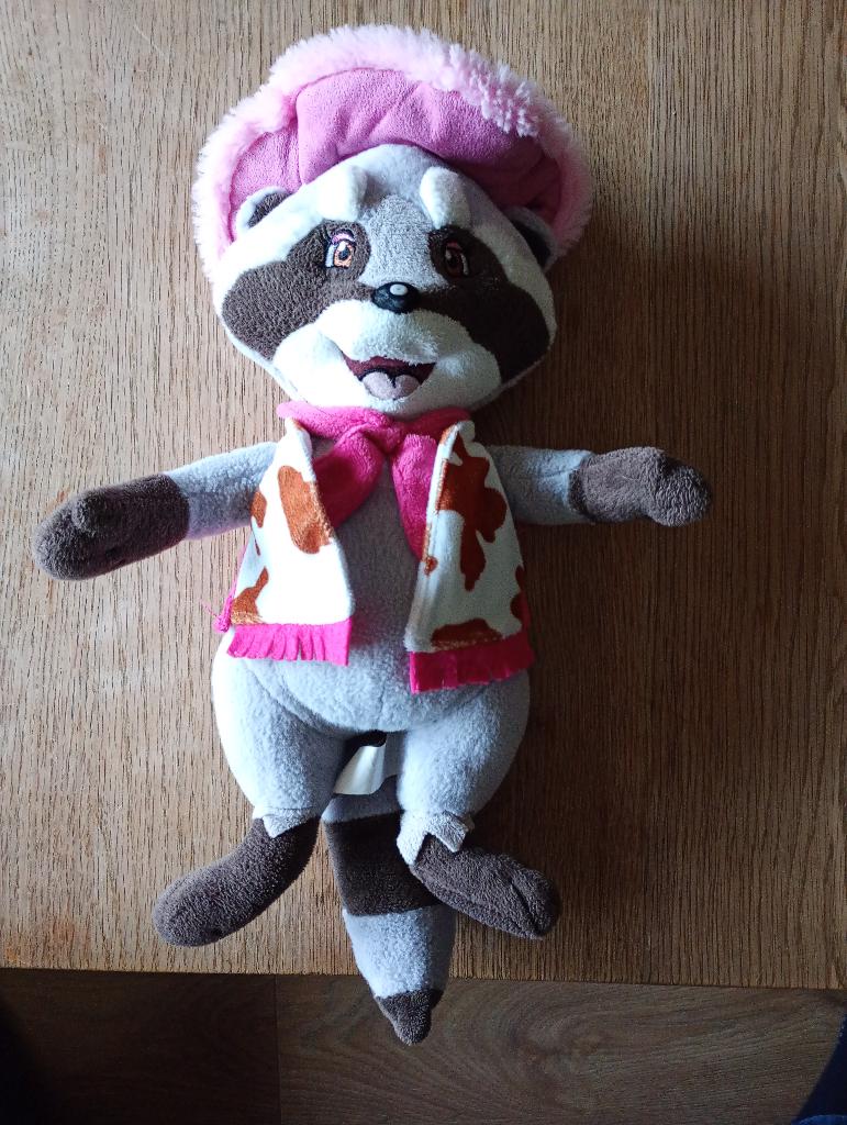 Wasbeer knuffel Rosie uit Slagharen, Overige karakters, Overige typen, Grijs, Ophalen of Verzenden