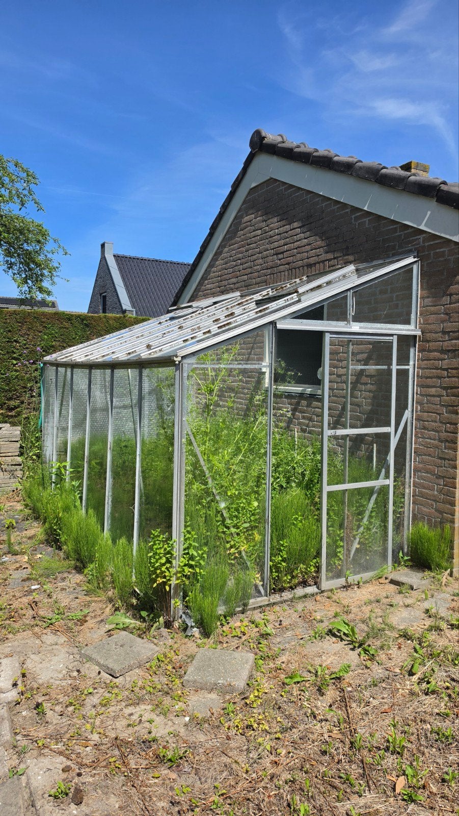Sterke muurkas hobbykas kweekkas 375x190 glas en aluminium, Tuin en Terras, Kassen, Aluminium, Glas, Ophalen