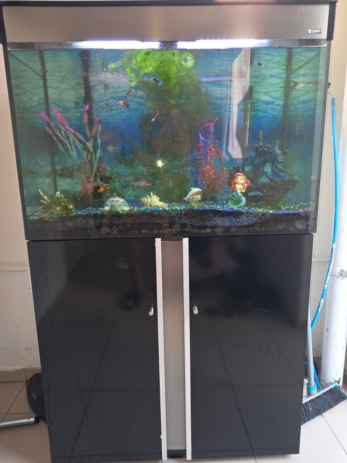 Aquarium met alle toebehoren., Ophalen, Gebruikt, JBL, Gevuld zoetwateraquarium