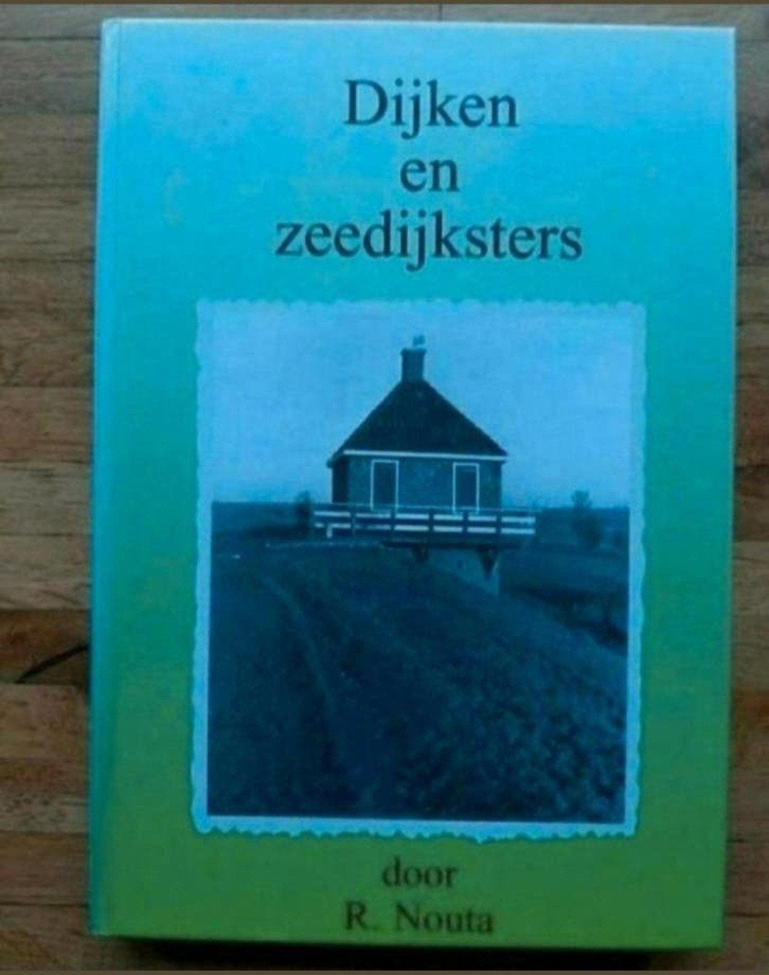 Dijken en zeedijksters
Geschiedenis informatief friesland, Boeken, Ophalen of Verzenden, Zo goed als nieuw