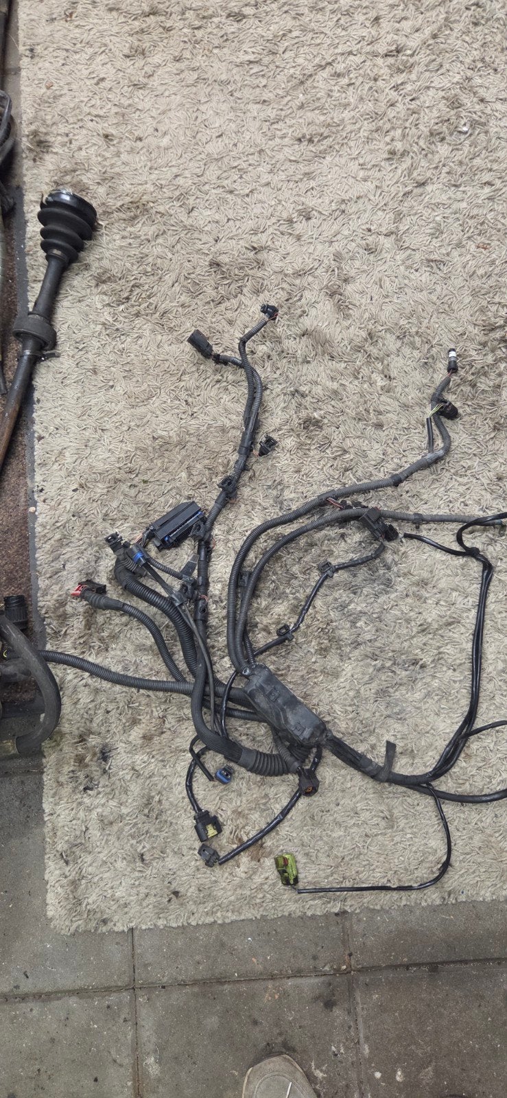 Kabelboom Mini Cooper S R53 2006, Ophalen of Verzenden, Gebruikt, Mini