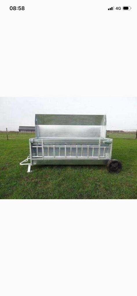 Gezocht creepfeeder, Schaap