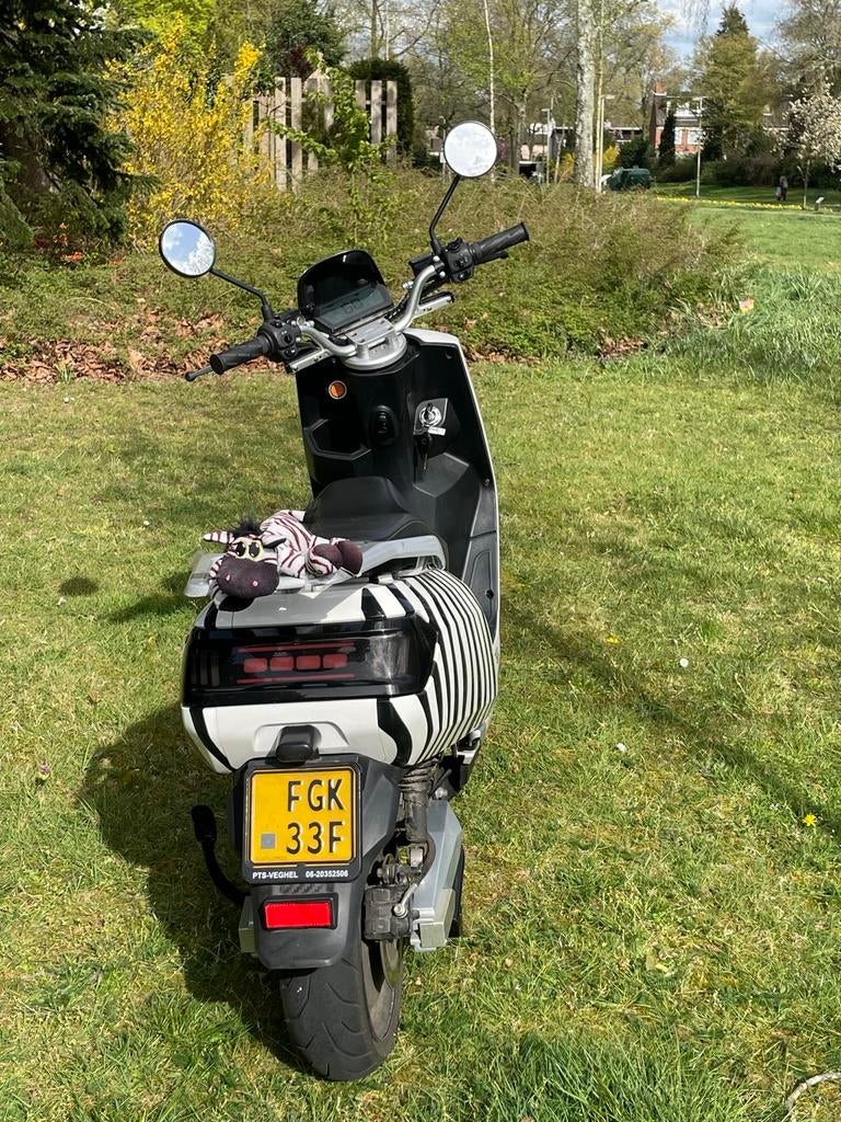 Zebra Scooter - Wit met Zwart-Wit Strepen, Ophalen of Verzenden, Zo goed als nieuw