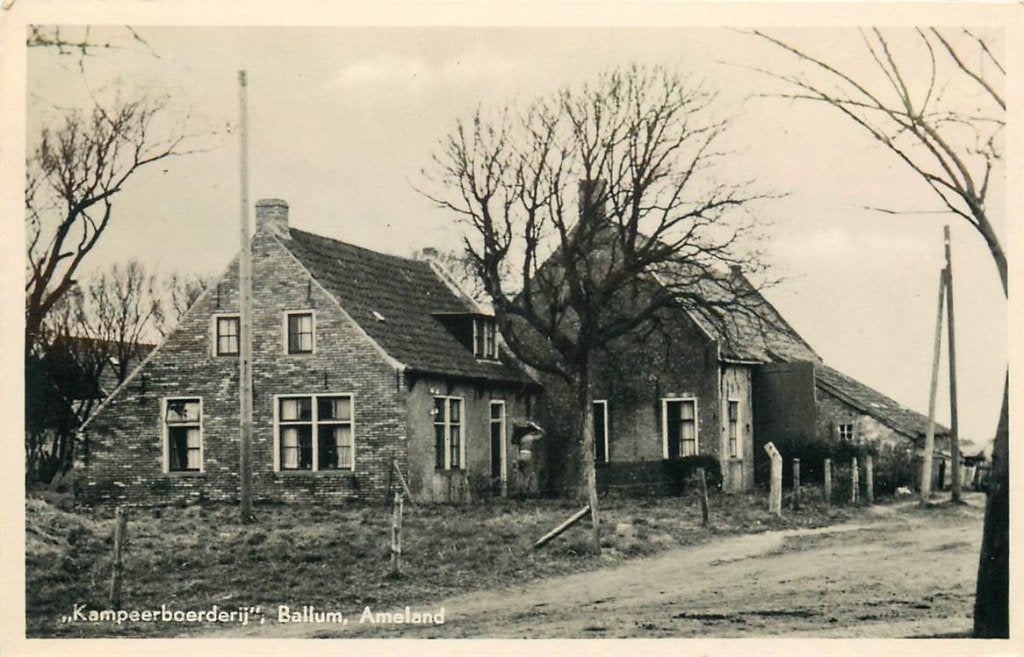 702-008-041 Ballum Ameland Kampeerboerderij, Verzenden, Voor 1920, Friesland