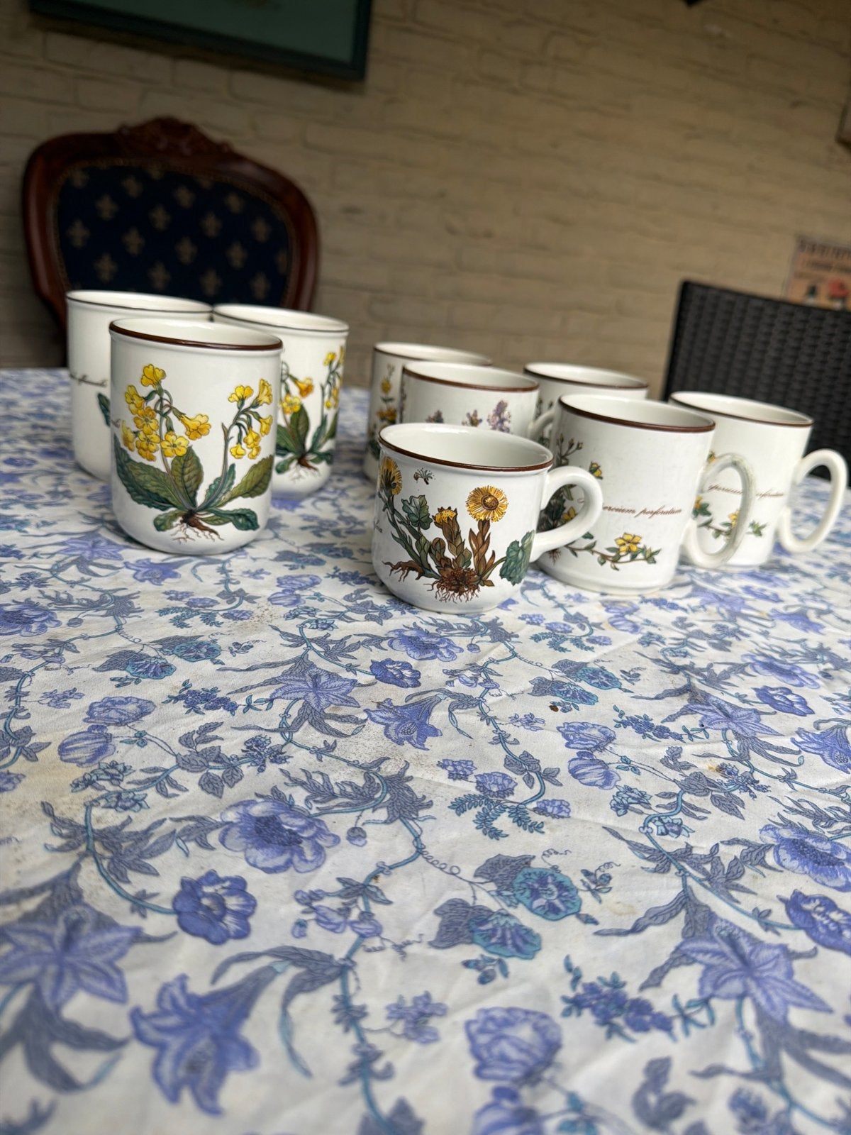 Villeroy & Boch Botanica Mokken - Set van 9, Antiek en Kunst, Ophalen of Verzenden