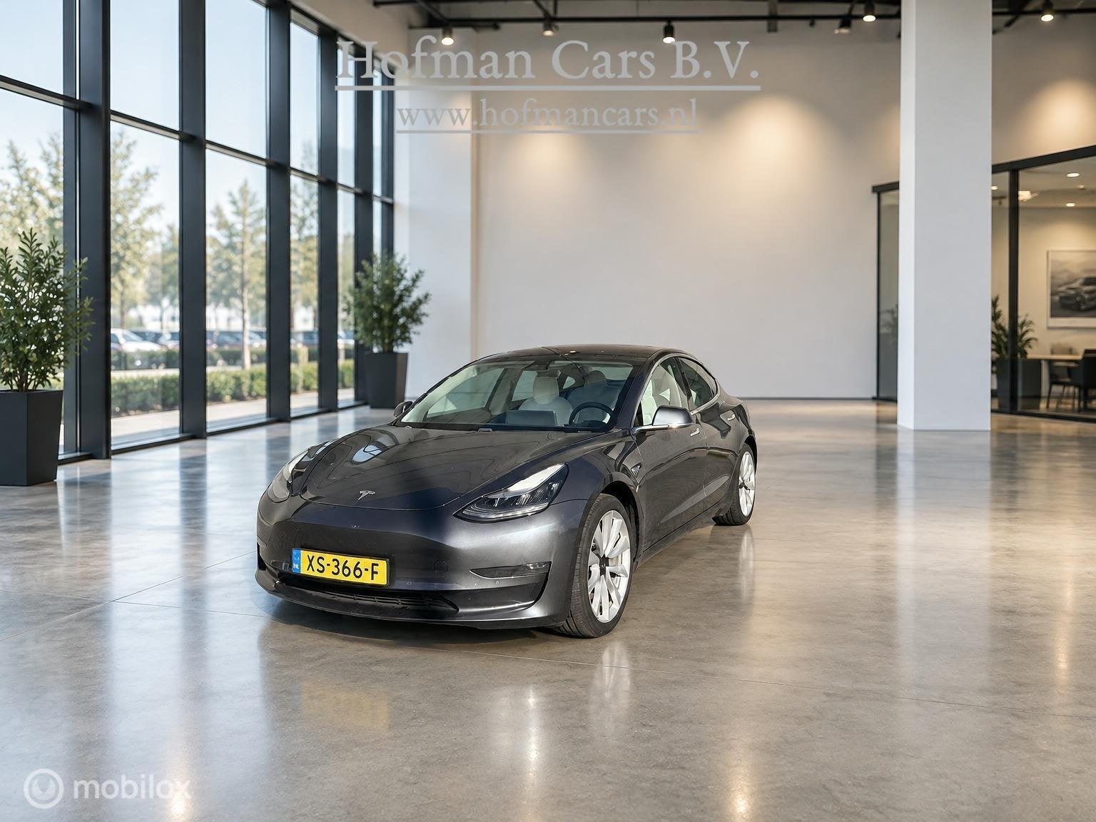 Tesla Model 3 Long Range AWD 75 kWh | Grijs | Wit Interieur, Automaat, 351 pk, Adaptive Cruise Control, Zilver of Grijs