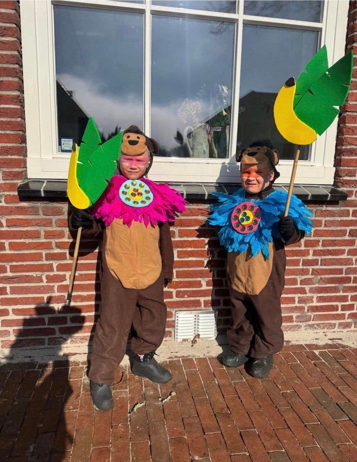 Apenpakjes, schattig, carnaval, schoolcarnaval, Ophalen of Verzenden, Zo goed als nieuw, Maat 34 (XS) of kleiner, Carnaval