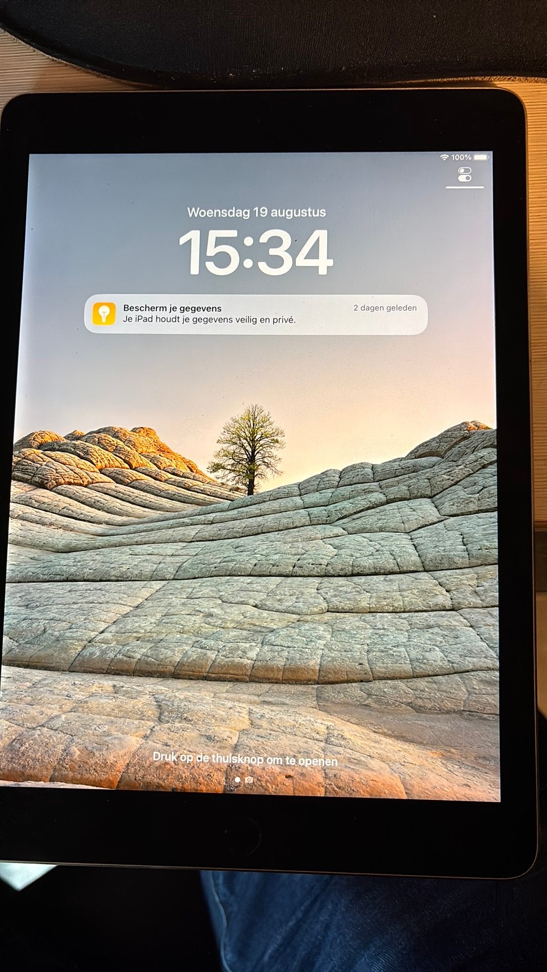 Ipad pro A1674, 32 GB, Zo goed als nieuw, Apple iPad Pro, Grijs