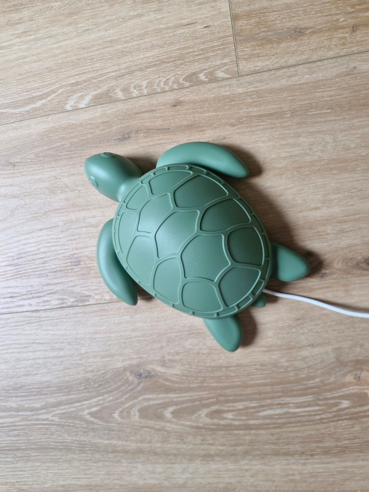 lampje schildpad, Ophalen of Verzenden