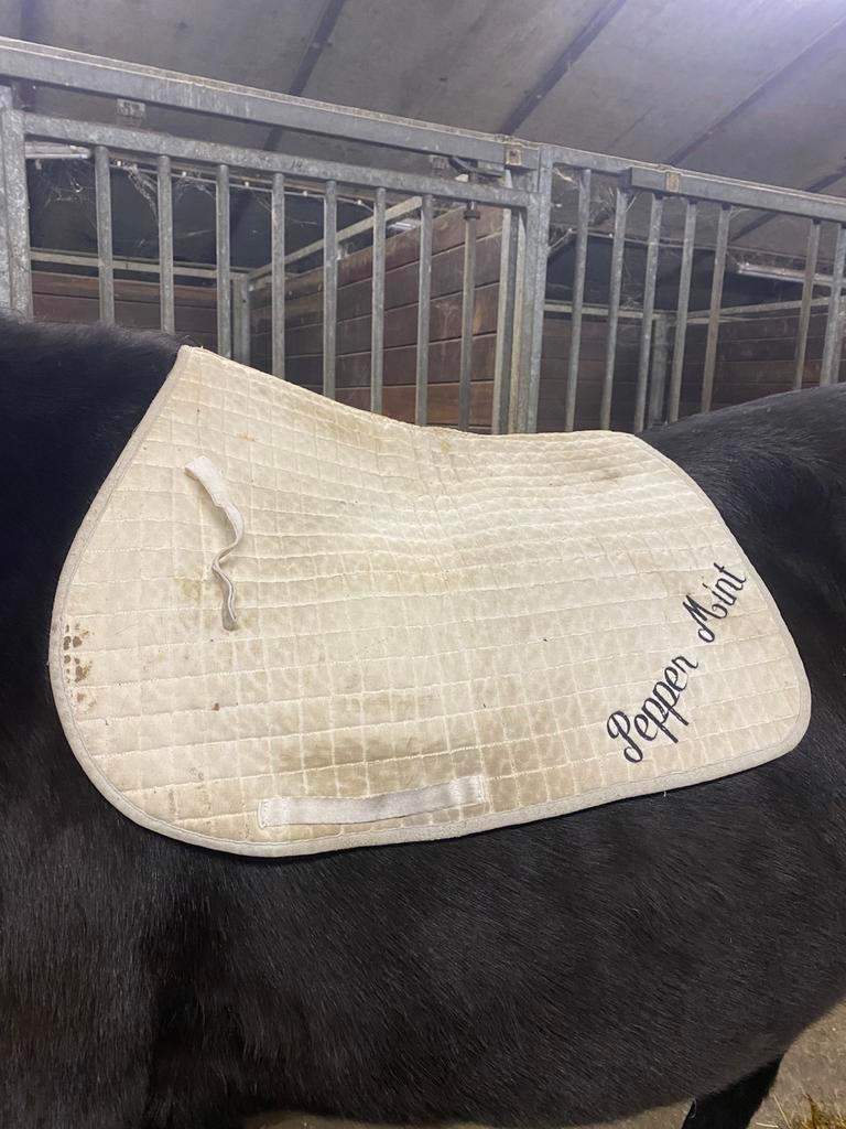Leuk wit dekje te koop!, Dieren en Toebehoren, Paarden en Pony's | Dekens en Dekjes, Ophalen, Overige materialen, Pony (P), Gebruikt