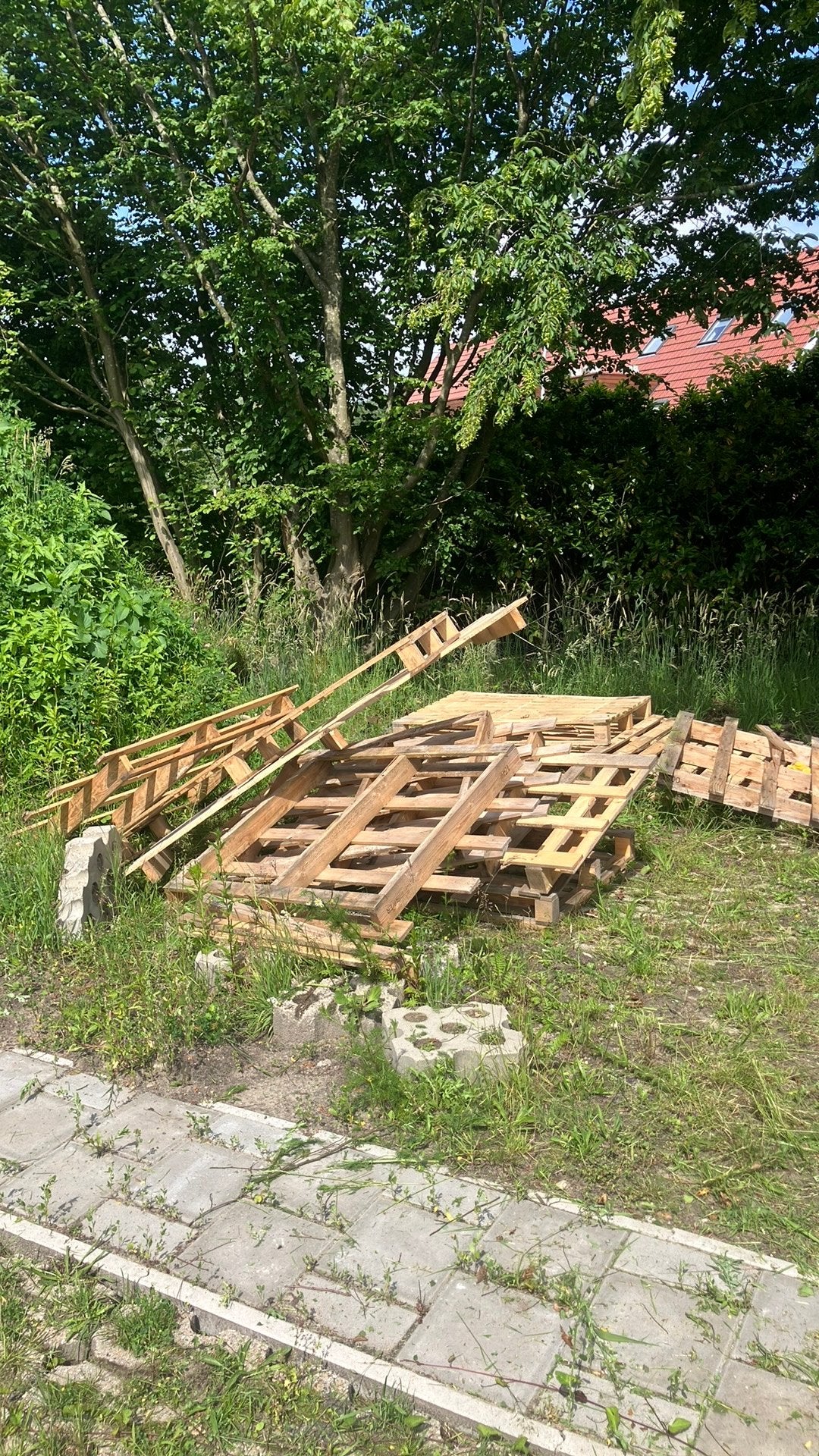 Gratis af te halen voor brandhout., Tuin en Terras, Haardhout, Minder dan 3 m³, Ophalen of Verzenden