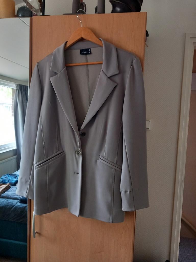 Mooie blazer maat xxl, Beige, Maat 46/48 (XL) of groter, Ophalen of Verzenden, Zo goed als nieuw