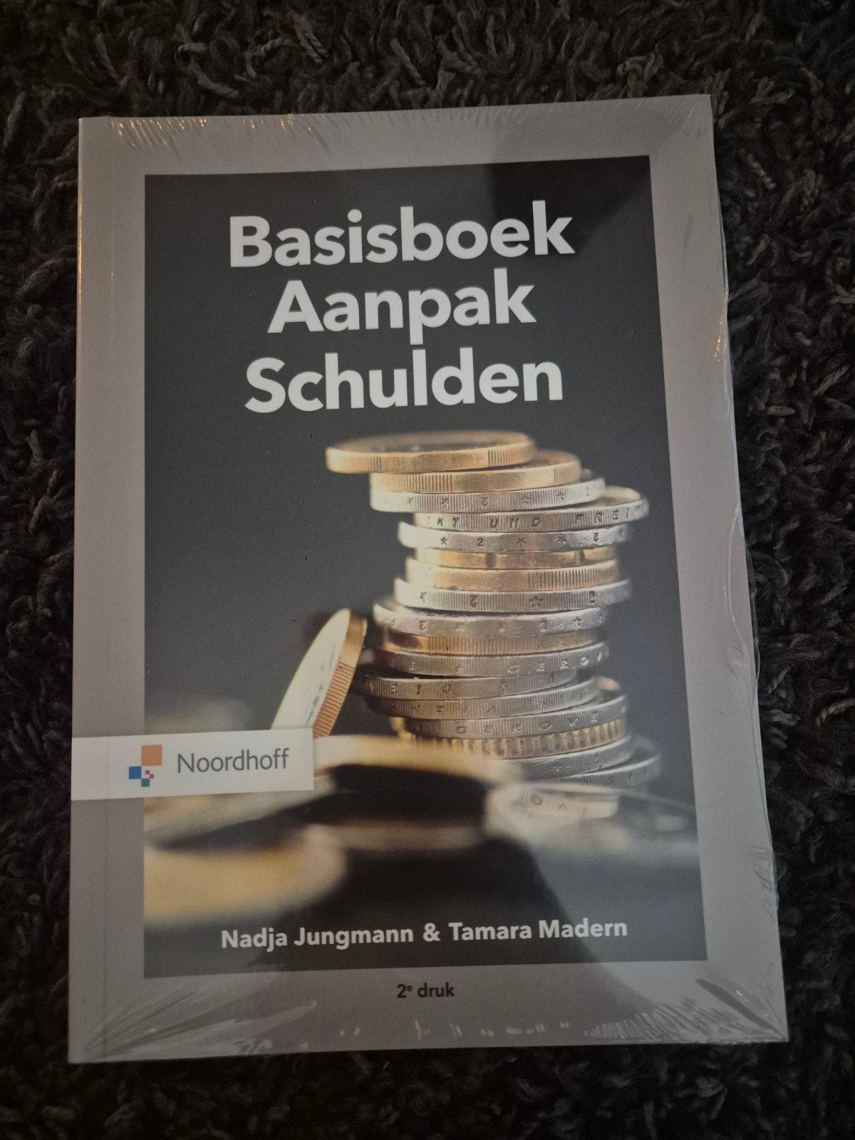 Basisboek Aanpak Schulden - Nieuw, Nadja Jungmann & Tamara Madern, Nieuw, Gamma, HBO