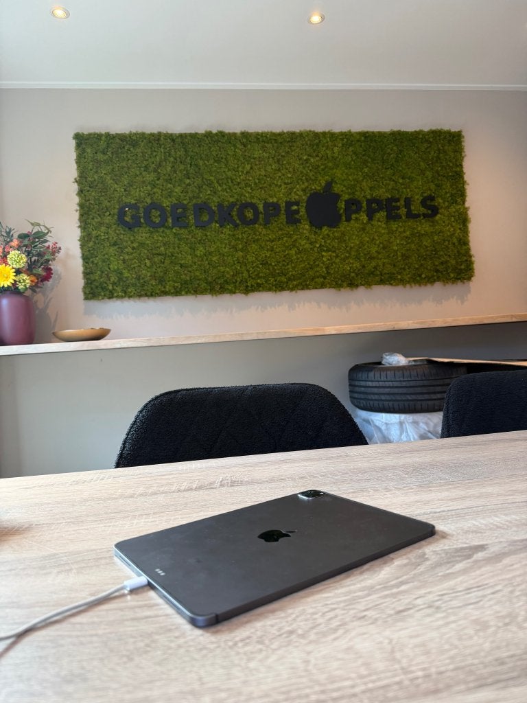 iPad Pro 11 inch 2e Generatie 256GB Wifi + Cellular, Ophalen, Gebruikt, Overige modellen, Apple