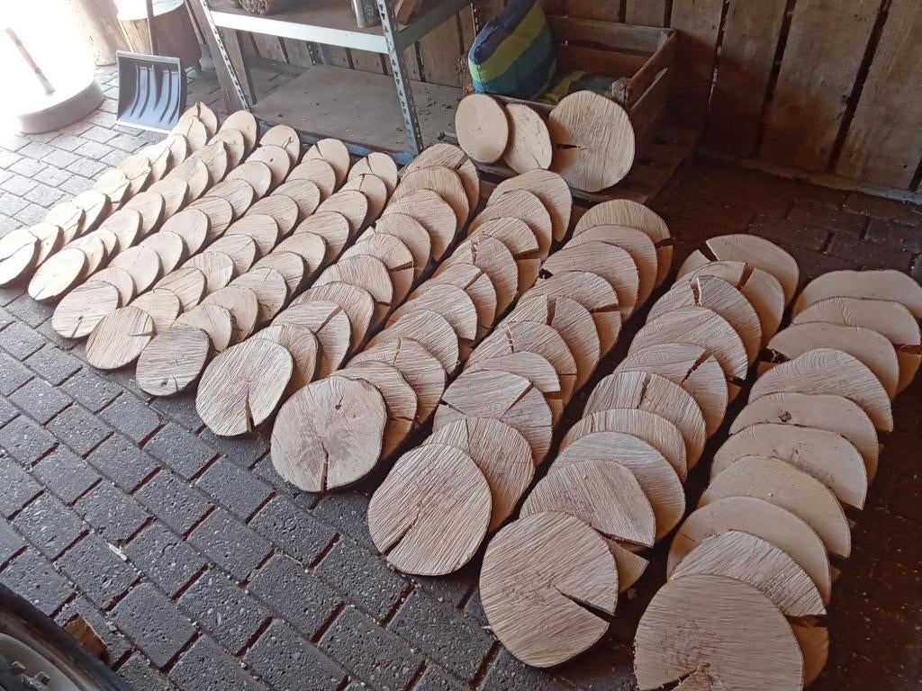 Prachtige beuken boomschijven, 100 stuks, gedroogd, Ophalen, Minder dan 25 mm, Nieuw, Plank
