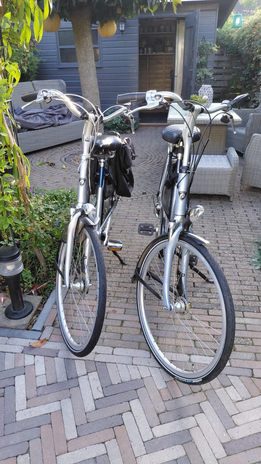 set elektrische fietsen Batavus