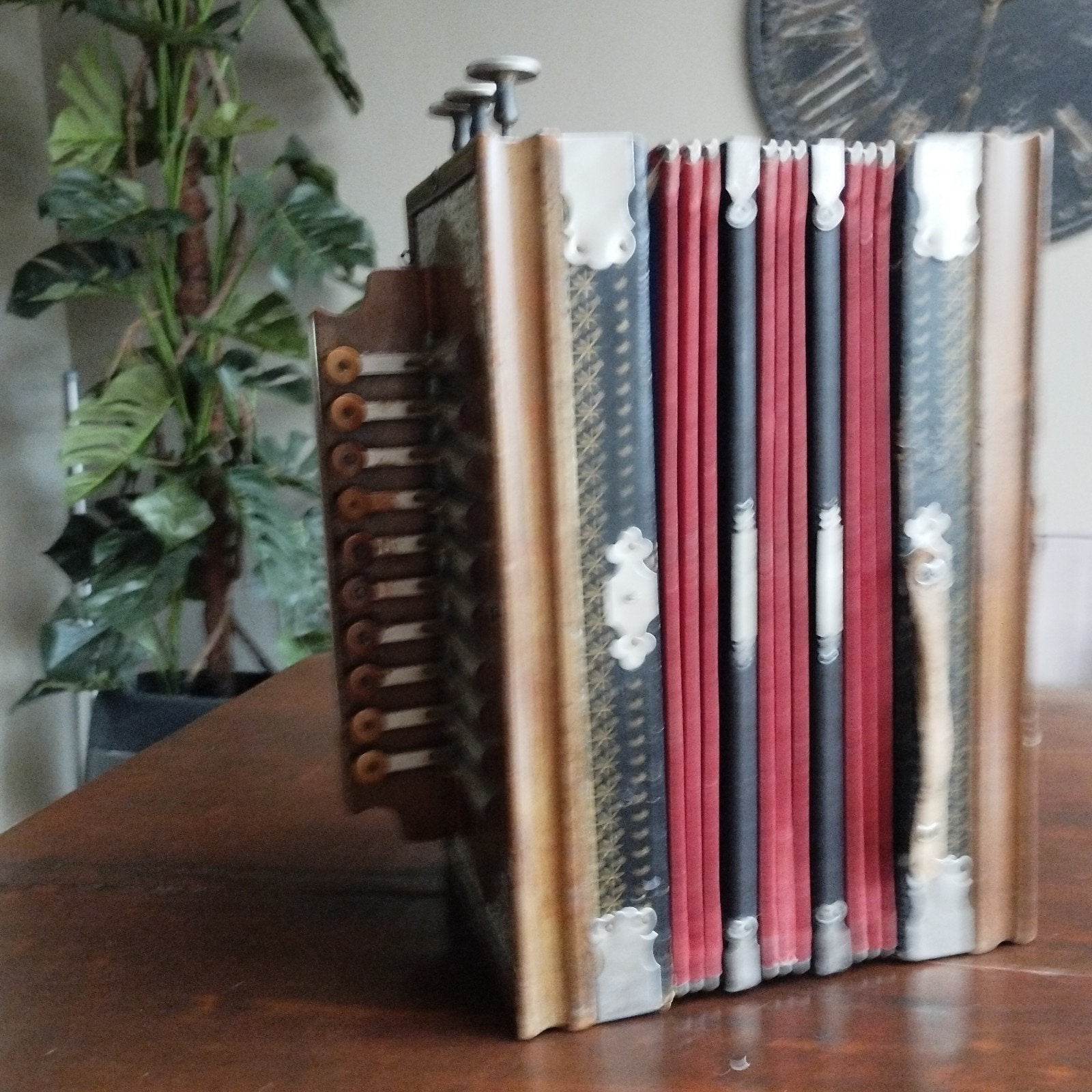 trekzak ,accordeon, Ophalen of Verzenden, Gebruikt, Overige formaten, Overige merken