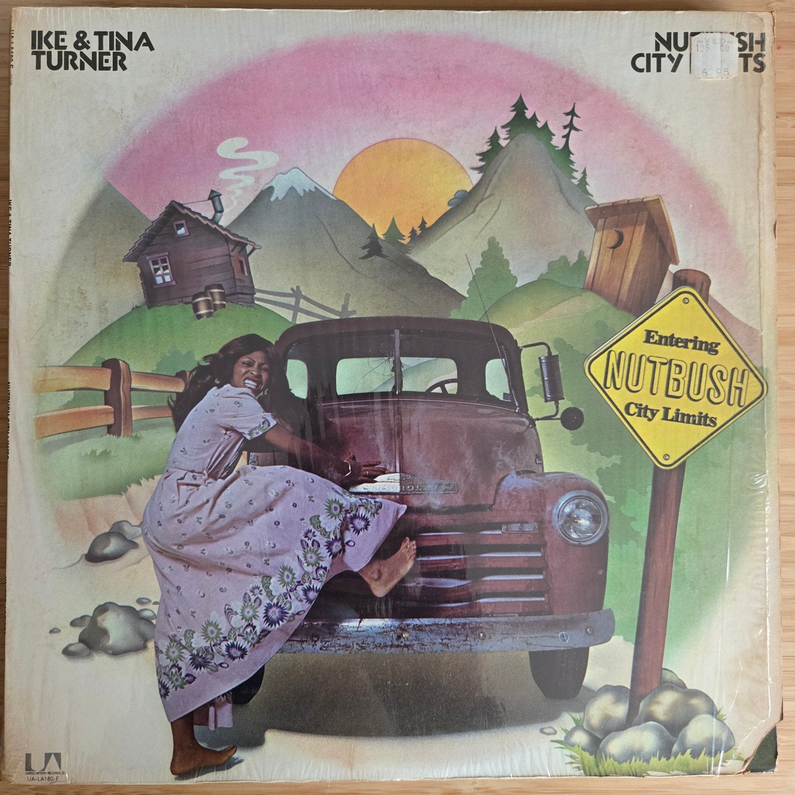 Ike & Tina Turner - Nutbush City Limits LP, Ophalen of Verzenden