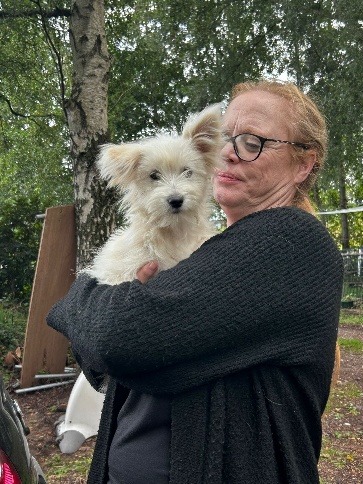 6 (nog 1!)Prachtige Boomer x Pomeriaantje meiden en jongens, Parvo, Nederland, Overige rassen, 8 tot 15 weken