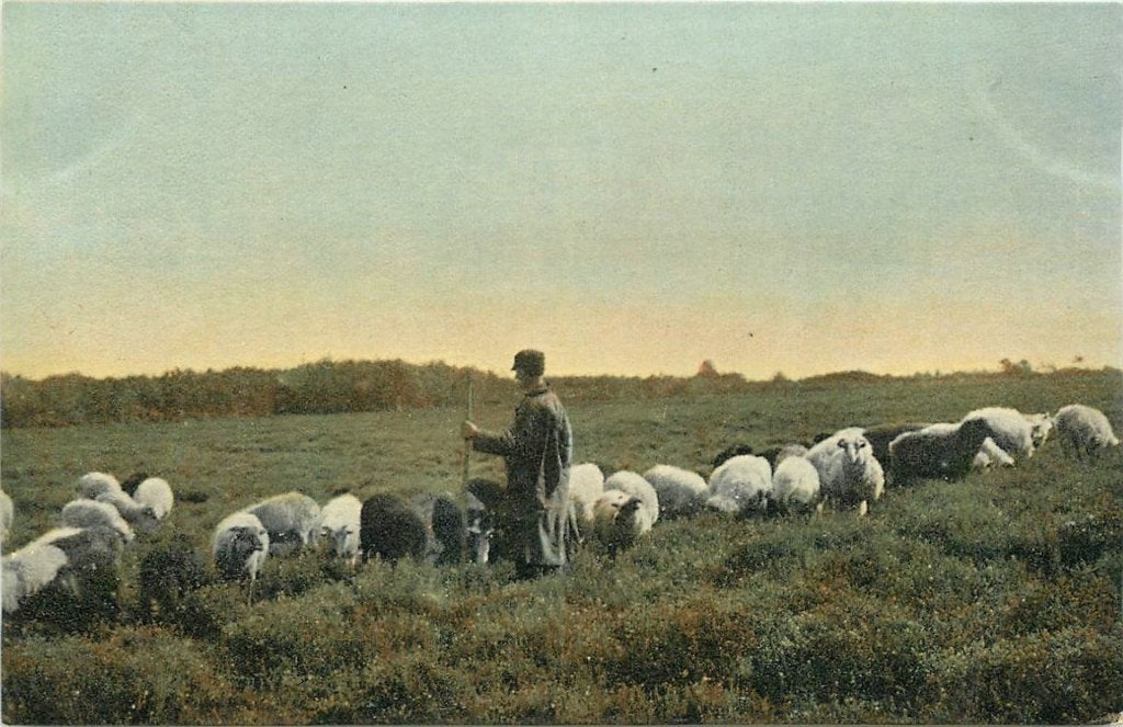 701-099-045 Drenthe, Verzenden, Voor 1920, Drenthe
