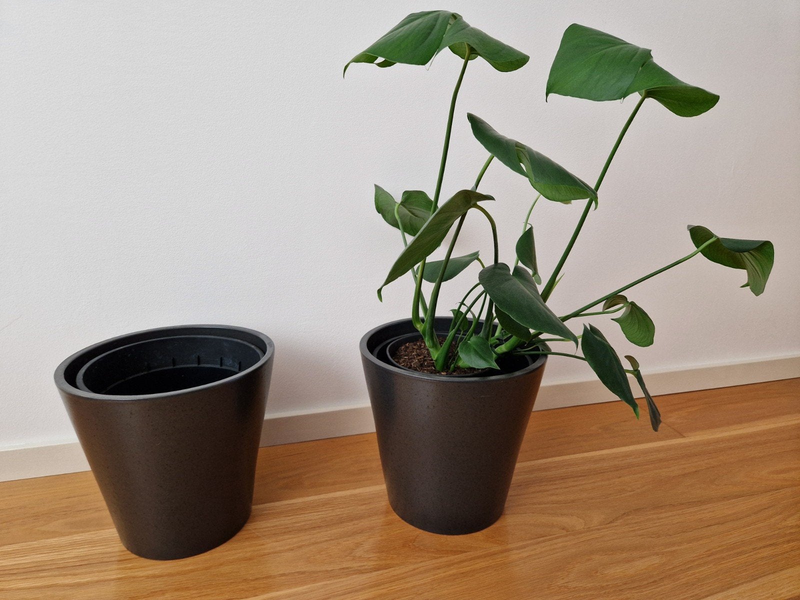 Set van 2 grote antracietkleurige bloempotten aardewerk, Rond, Minder dan 40 cm, Aardewerk, Ophalen