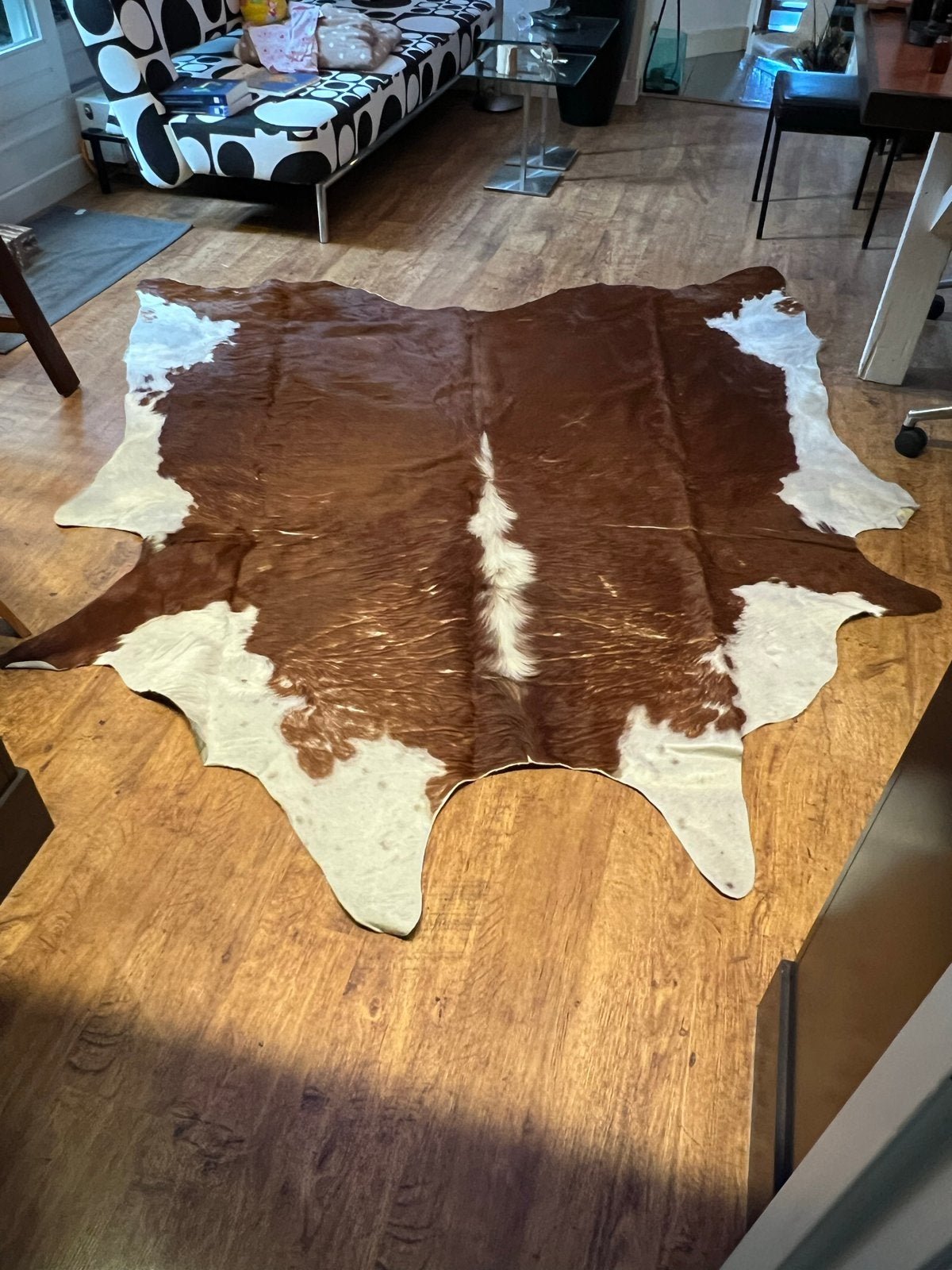 Groot koeienhuid vloerkleed - Bruin met wit, Ophalen, Gebruikt, Bruin, 150 tot 200 cm