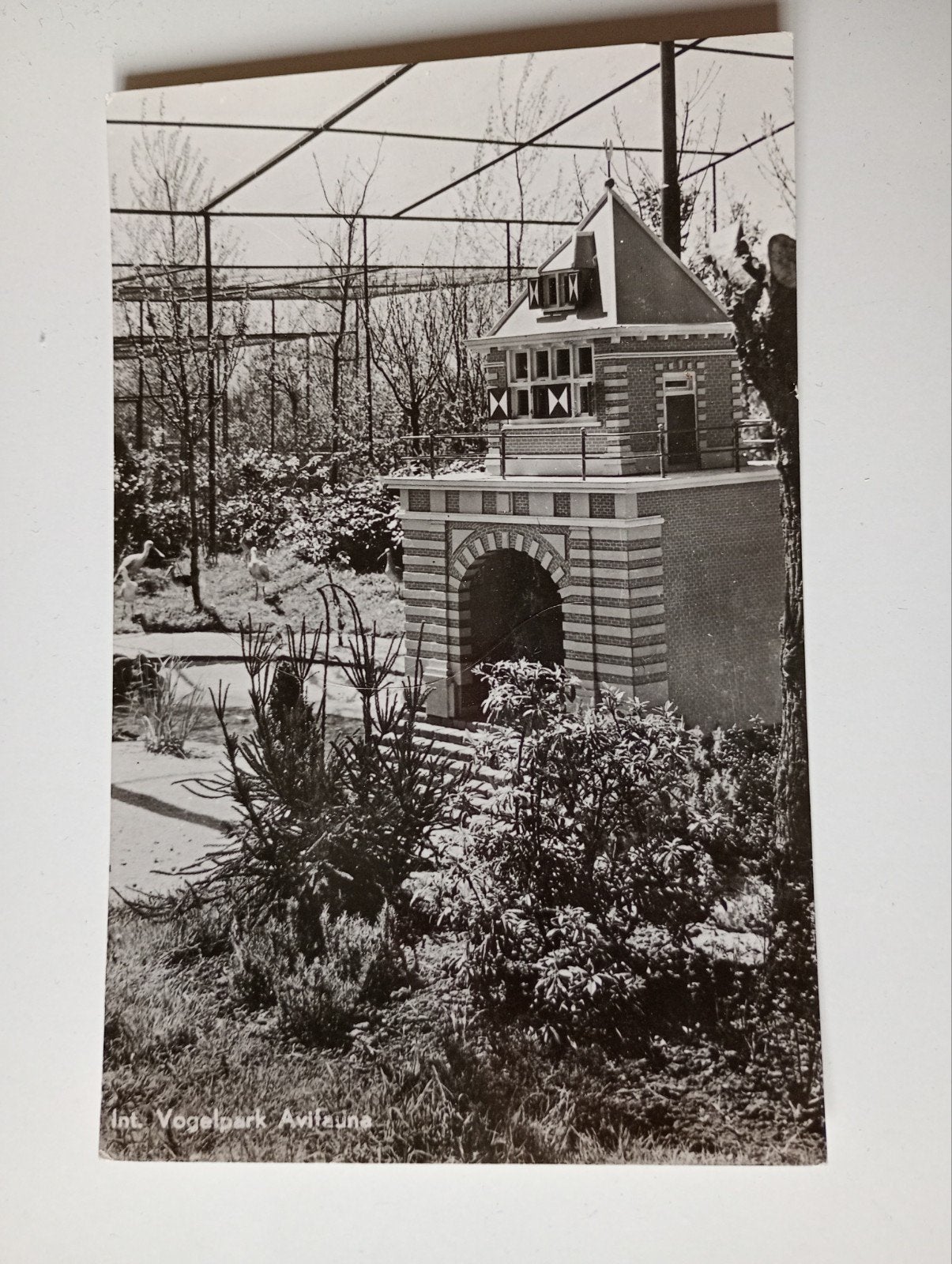 Alphen aan den Rijn Avifauna 1951, Verzamelen, Ansichtkaarten | Nederland, Ophalen of Verzenden, 1940 tot 1960, Gelopen, Zuid-Holland
