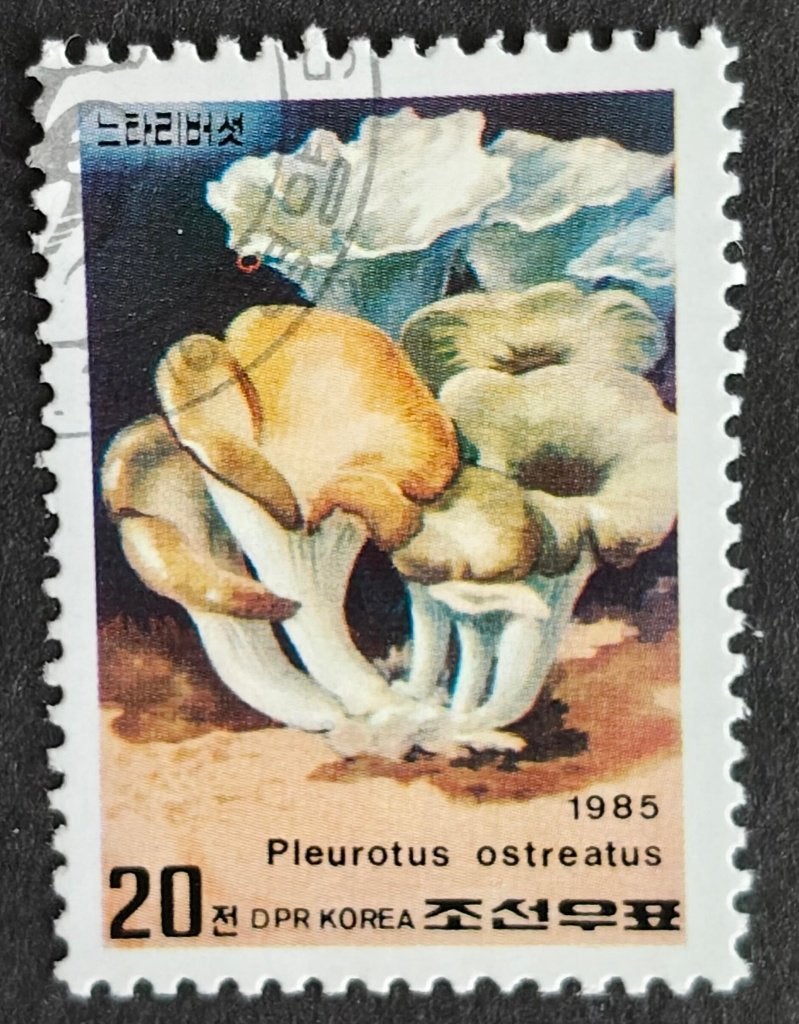 NOORD-KOREA - paddestoelen 1985, Verzenden, Gestempeld, Zuidoost-Azië
