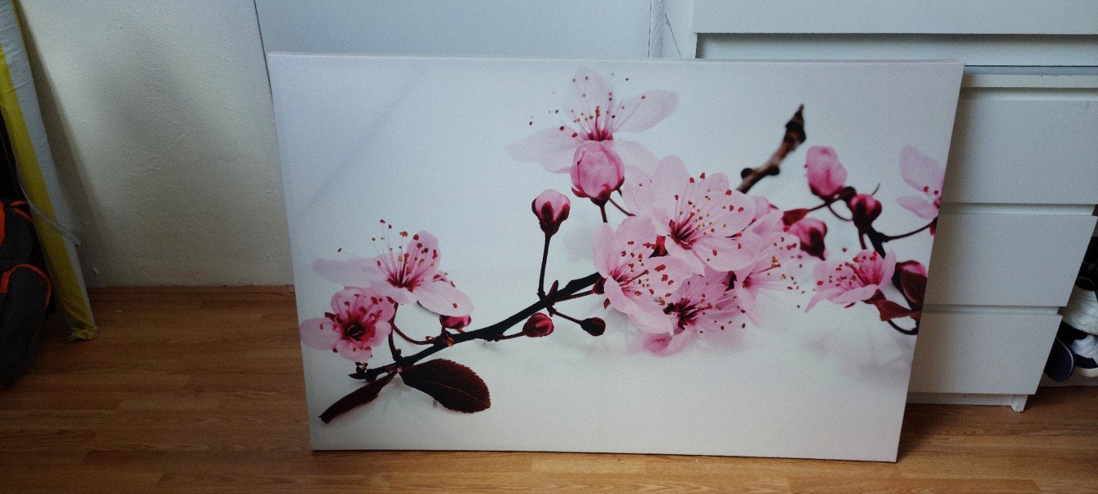 Canvas doek kersenbloesem - 120 x 80 cm, Huis en Inrichting, Woonaccessoires | Schilderijen, Tekeningen en Foto's, Ophalen, Gebruikt