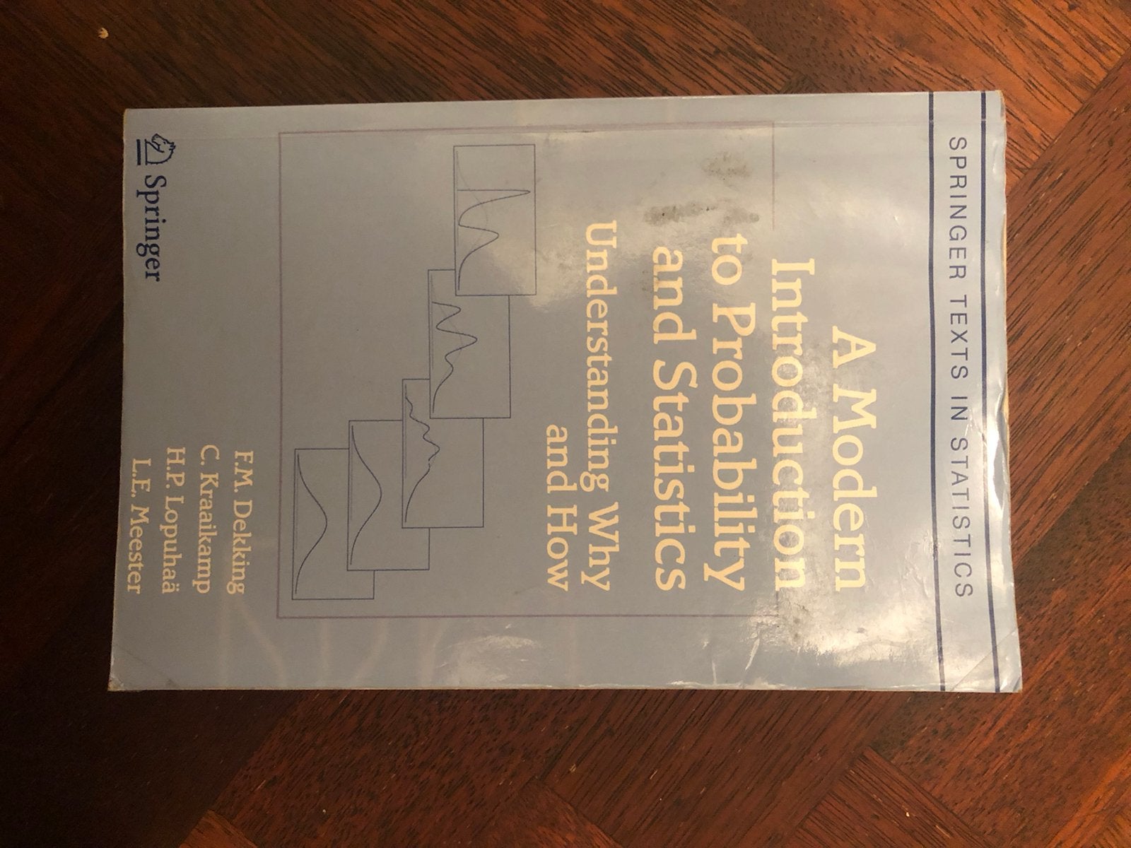 A Modern Introduction to Probability and Statistics, Boeken, Ophalen of Verzenden, Beta, Gelezen, WO