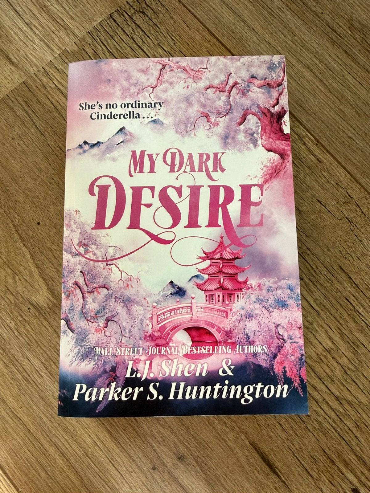 My Dark Desire - L. J Shen & Parker S. Huntington, Ophalen of Verzenden, Zo goed als nieuw