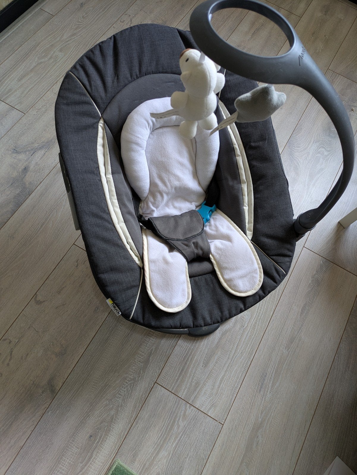Hauck Alpha 2in1 bouncer deluxe, Ophalen