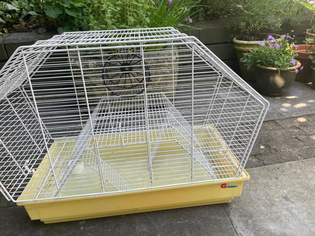 Hamsterkooi, Dieren en Toebehoren, Kooi, Gebruikt, Minder dan 75 cm, Muis