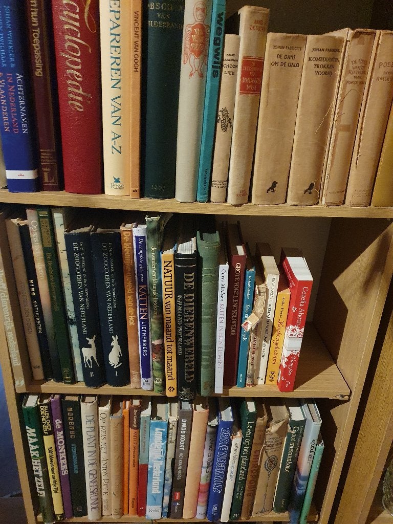 Grote partij boeken 70+ natuur, dieren, kunst, romans, Ophalen, Gelezen
