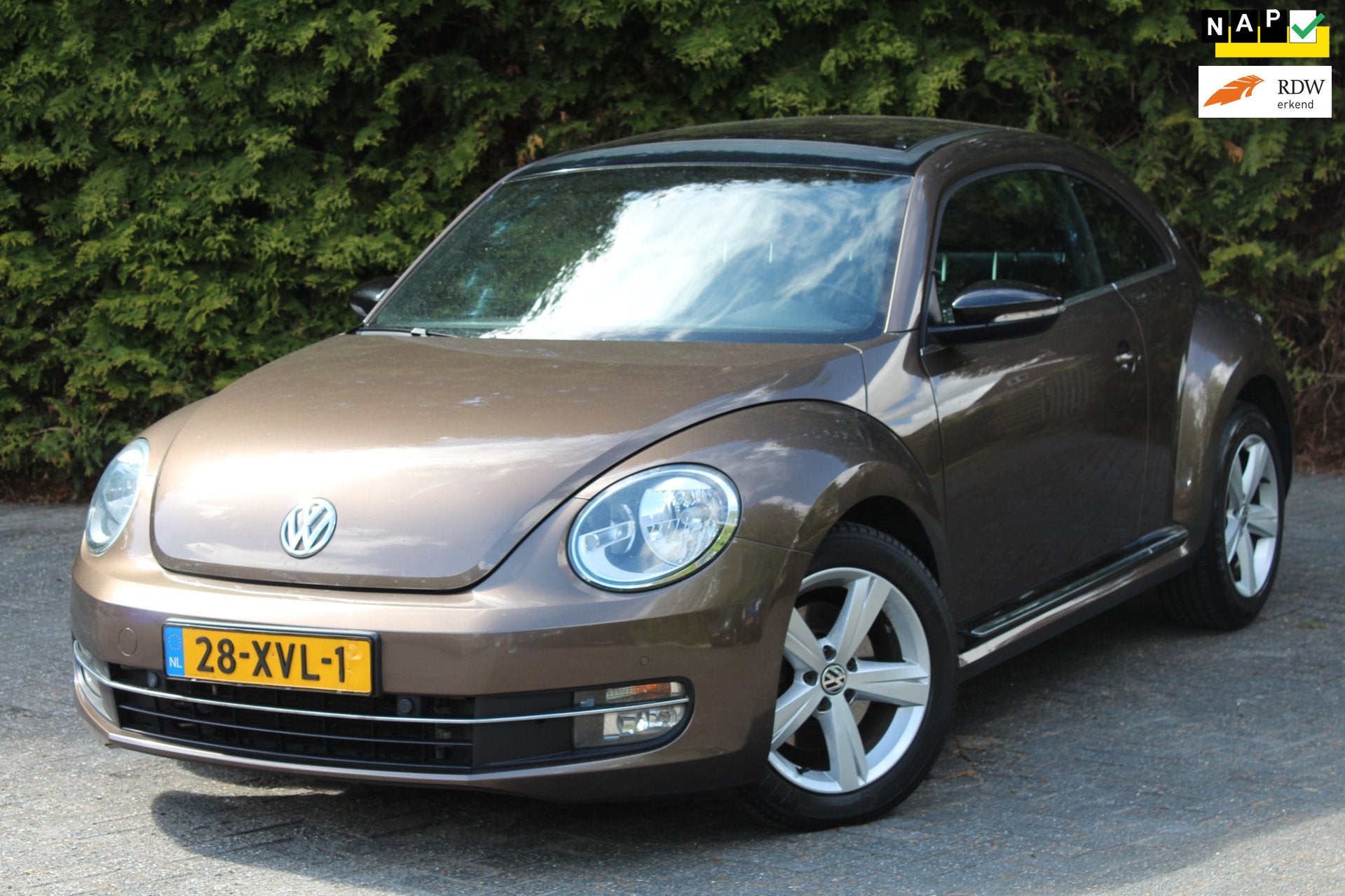 Volkswagen Beetle 1.4 TSI Sport 160PK | Panoramadak | Stoelv, Auto's, Voorwielaandrijving, Euro 5, 15 km/l, Gebruikt