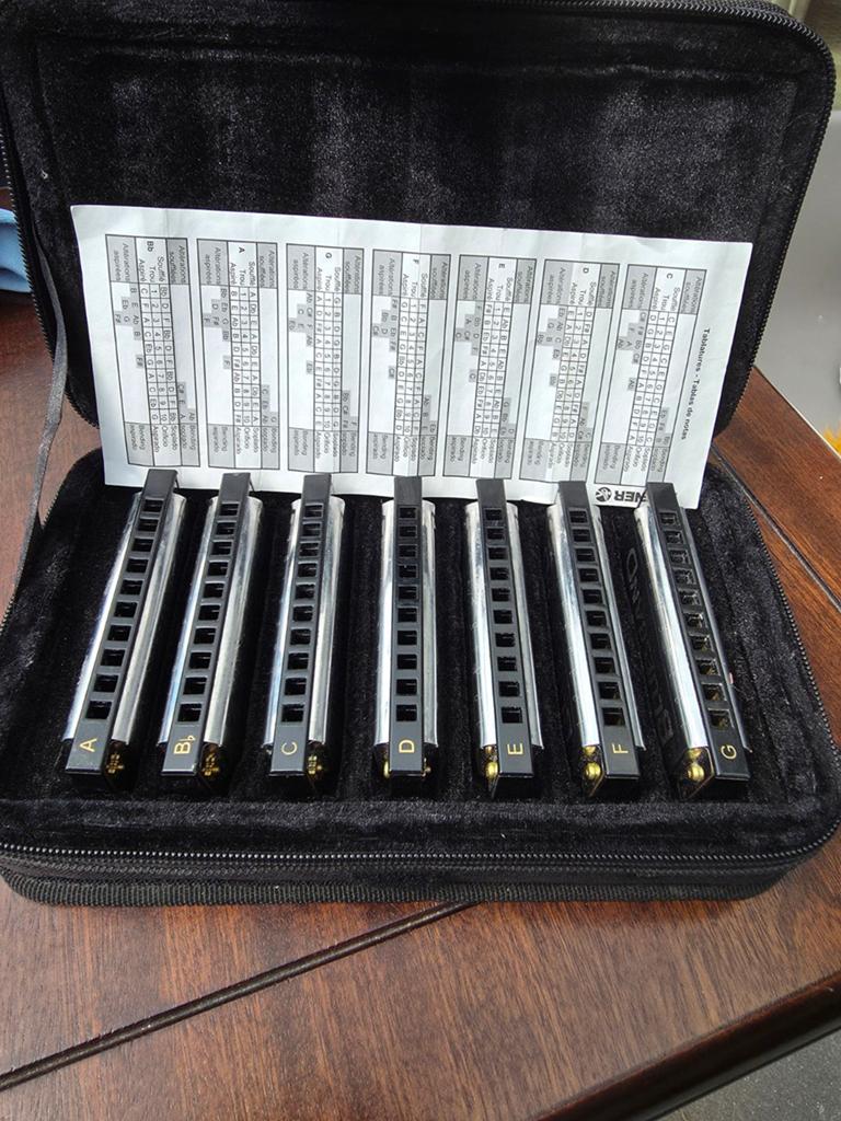 Hohner Blues Harmonica Set met Koffer - Diatonisch, Muziek en Instrumenten, Blaasinstrumenten | Mondharmonica's, Overige typen