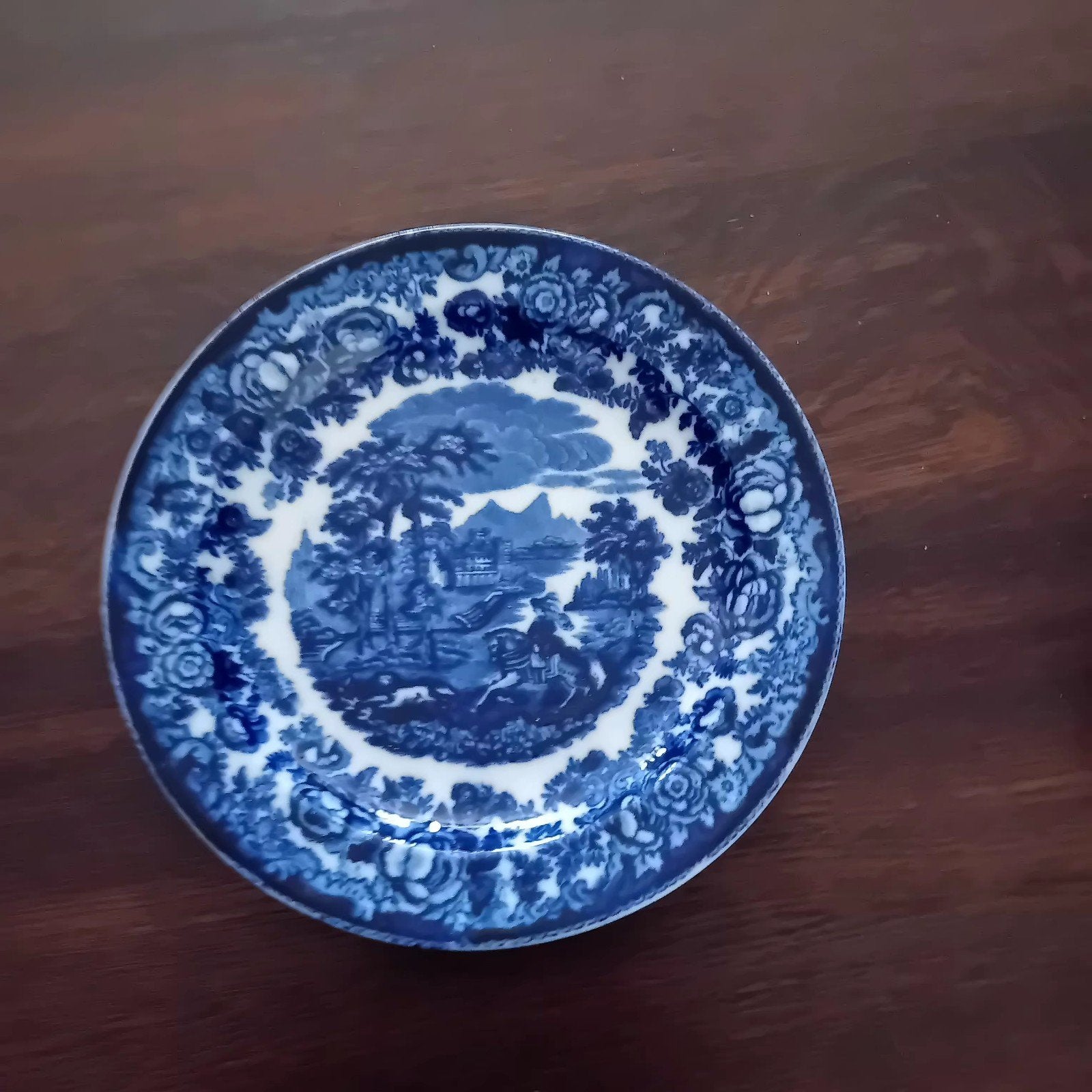 Delfts Blauw bordje - Amazone Maastricht 26cm, Ophalen of Verzenden