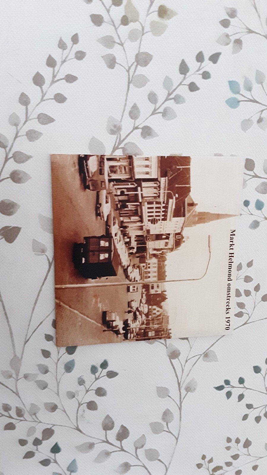 CD Oude Helmond - Terug naar Toen - Theo van Mierlo, Ophalen of Verzenden, Gebruikt, Album, Inclusief boekje