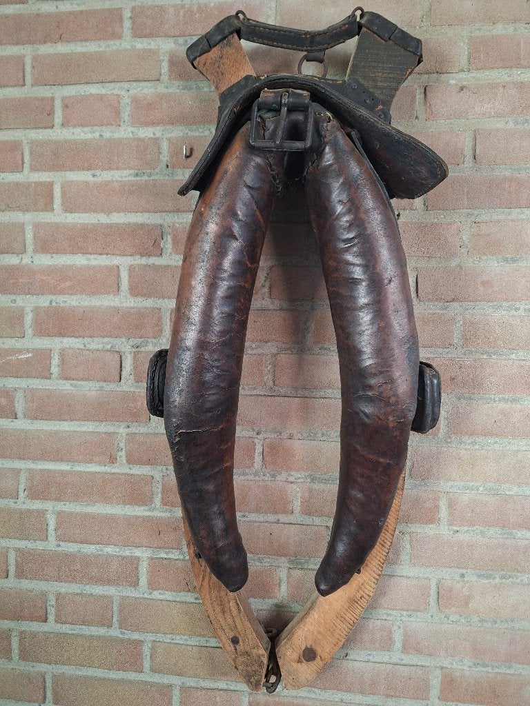 Paardenhaam, Dieren en Toebehoren, Ophalen, Gebruikt, BR