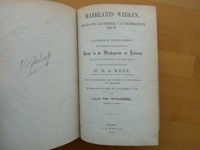 Maerlants Werken, 1877 Jan te Winkel Beschouwd als spiegel, Antiek en Kunst, Antiek | Boeken en Bijbels, Ophalen of Verzenden