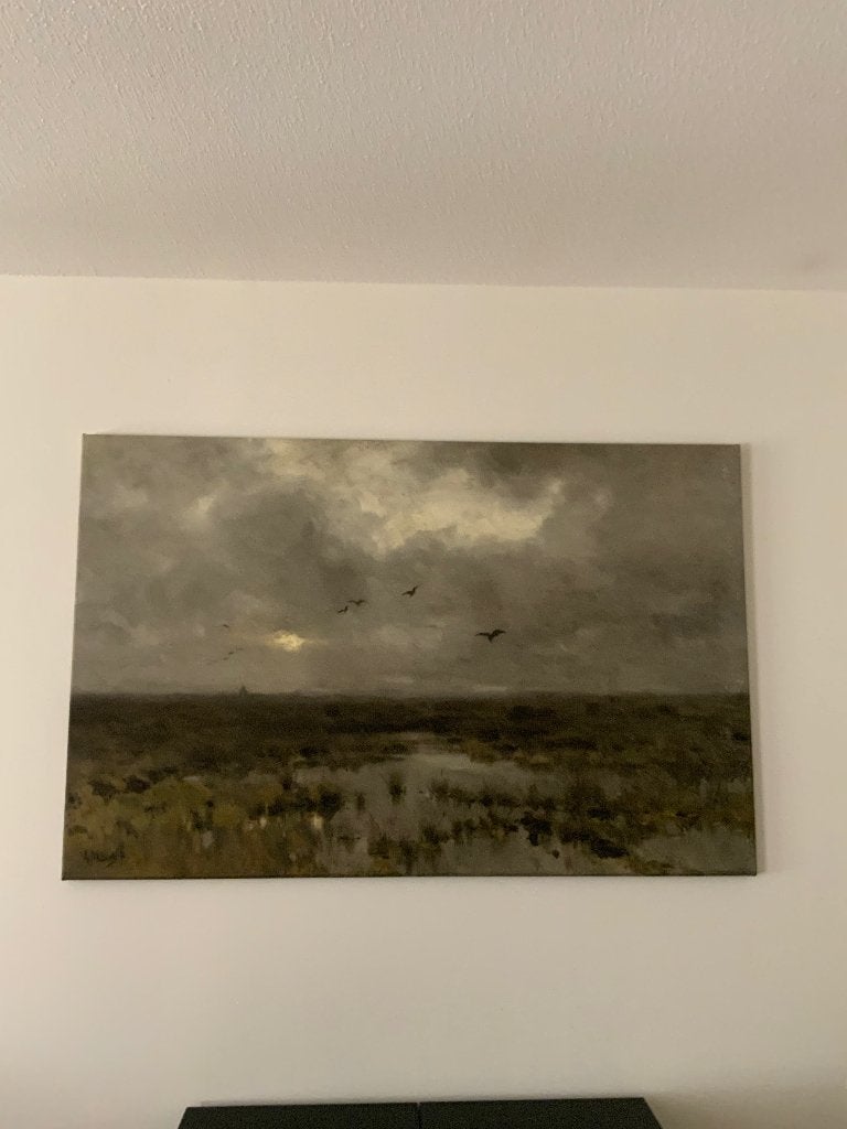 Canvas schilderij, Ophalen, Zo goed als nieuw, 125 cm of meer, Schilderij
