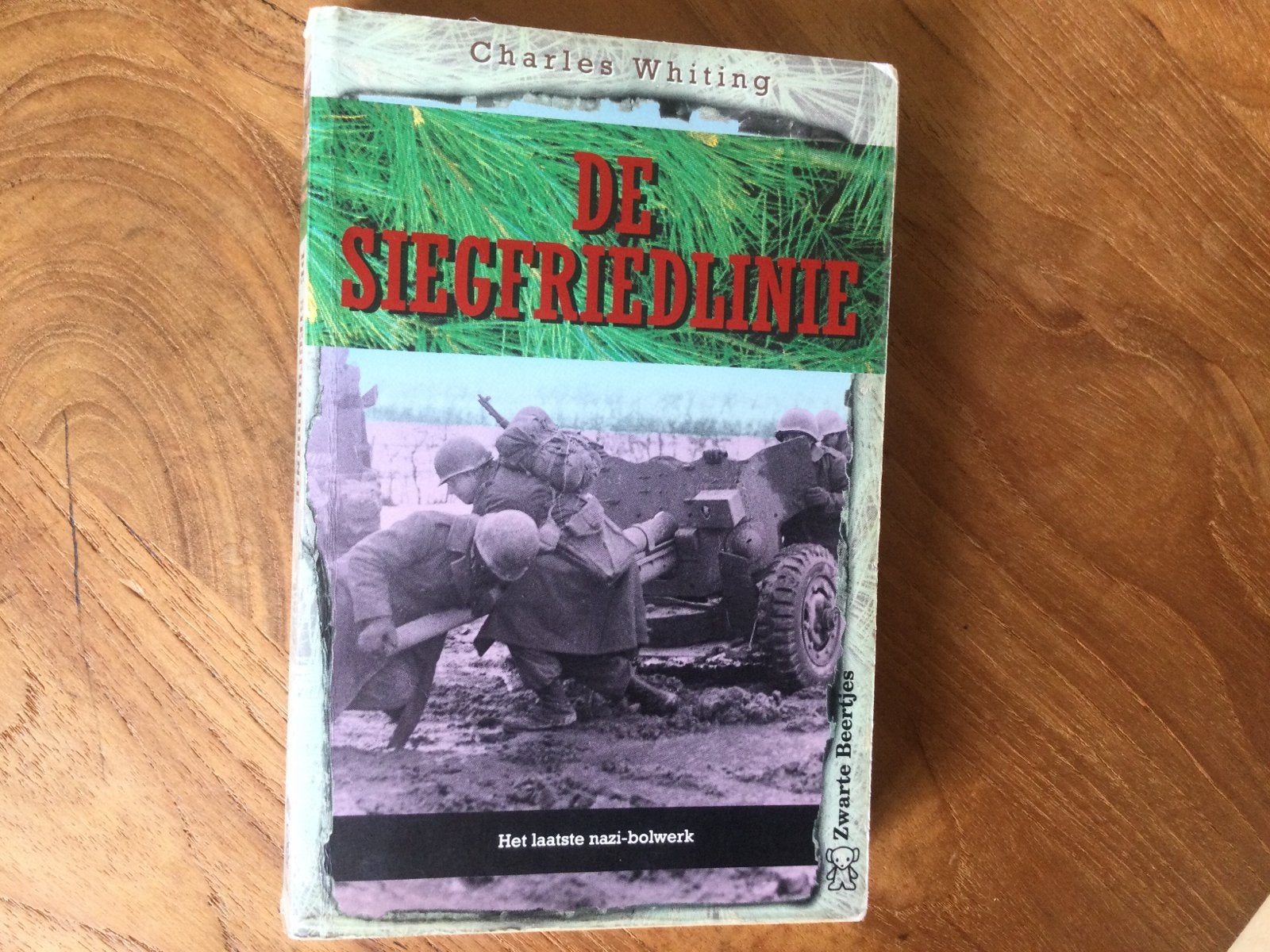 Charles Whiting, De Siegfriedlinie, Ophalen of Verzenden, Gelezen, Europa