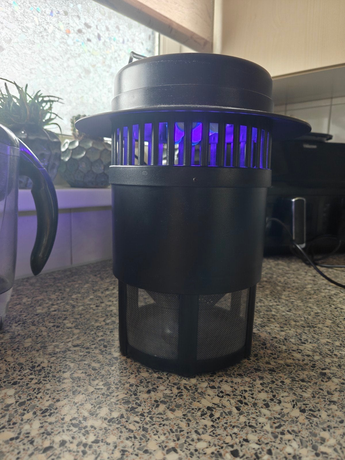 Insekten lamp, Overige soorten