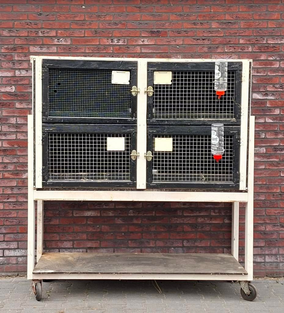 Konijnen flat/hok, Dieren en Toebehoren, Ophalen of Verzenden, 110 cm of meer, Hok, 90 cm of meer