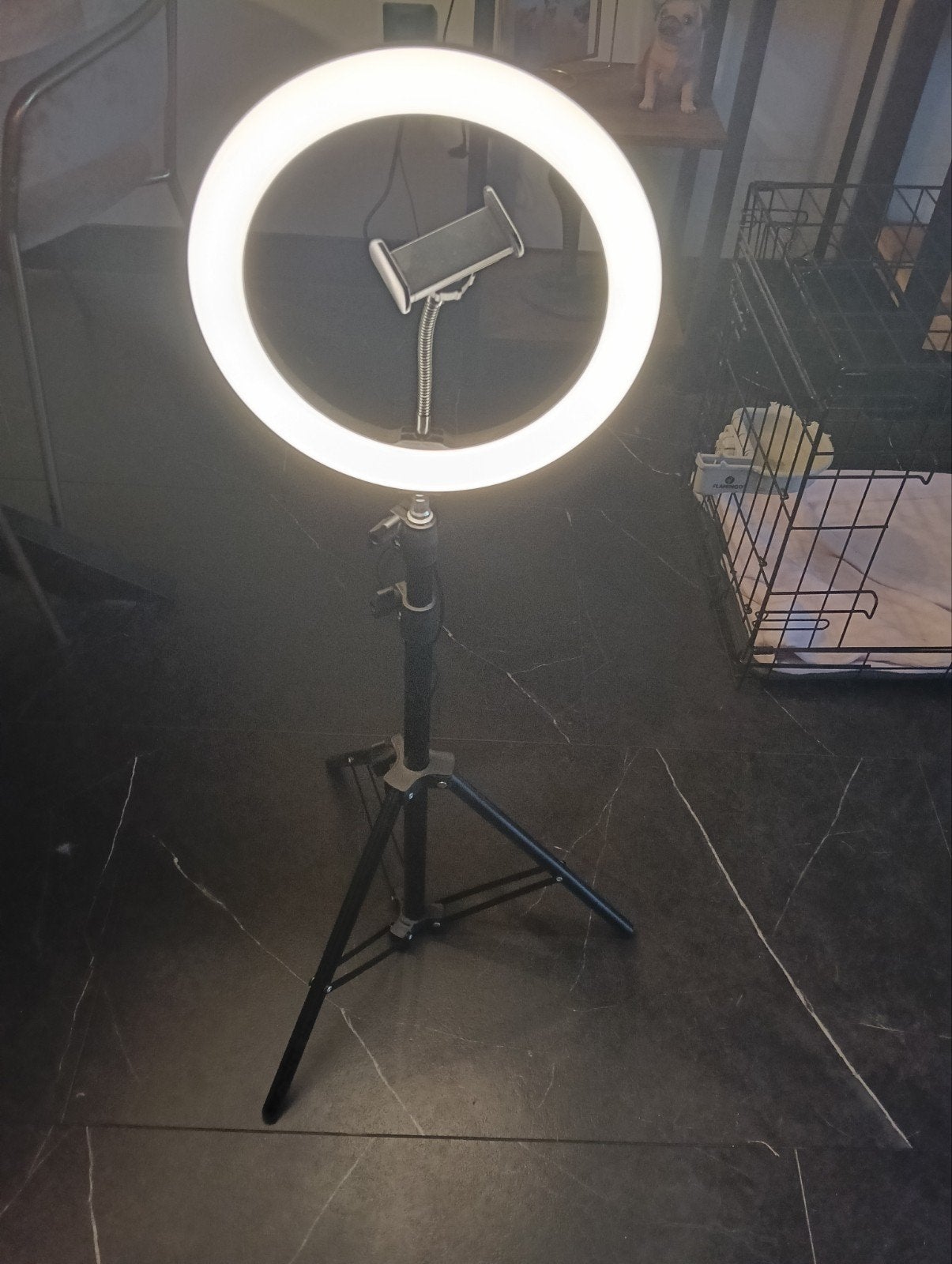 tiktok lamp, Ophalen of Verzenden, Loeplamp