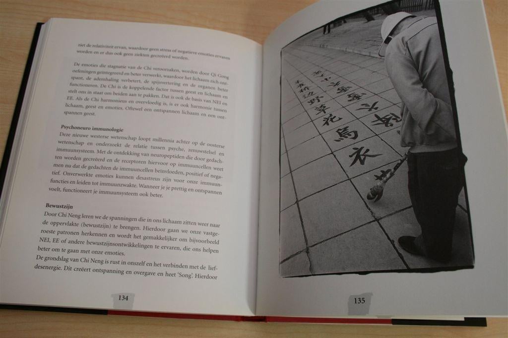 Chi Neng Qi Gong — Meditatie in Beweging voor Vitaliteit, Ophalen of Verzenden, Gelezen, Overige onderwerpen, Achtergrond en Informatie