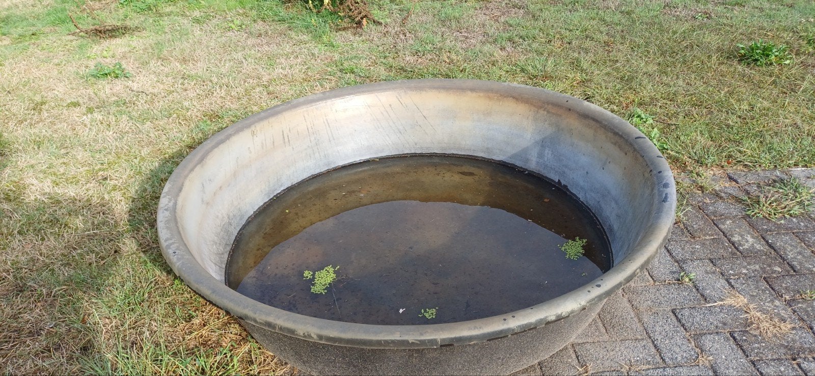vijverbak, Tuin en Terras, Vijvers, Ophalen of Verzenden, Gebruikt