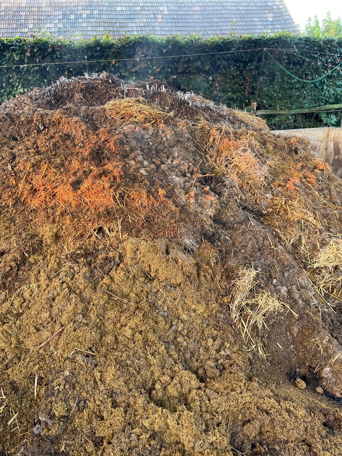 Goeie paardenmest voor uw moestuin, Ophalen, Mest